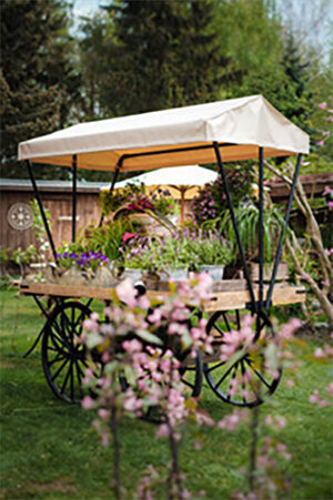 Marktwagen Dachaufbau beige